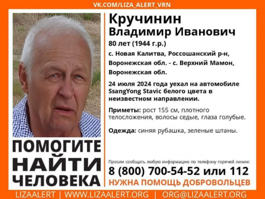 80-летний пенсионер поехал в магазин и пропал без вести в Воронежской области