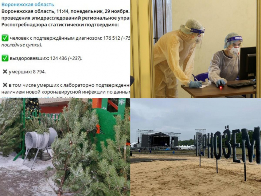 Коронавирус в Воронеже 29 ноября: +751 заболевание, закрытие ковидного центра и подготовка к празднованию Нового года