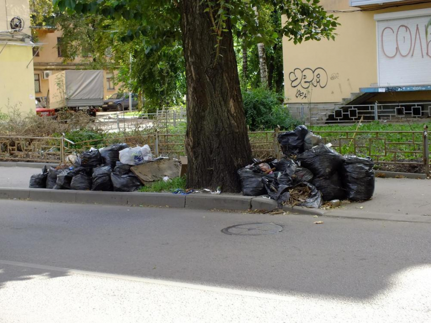 У воронежских чиновников прошла мусорная «лихорадка»