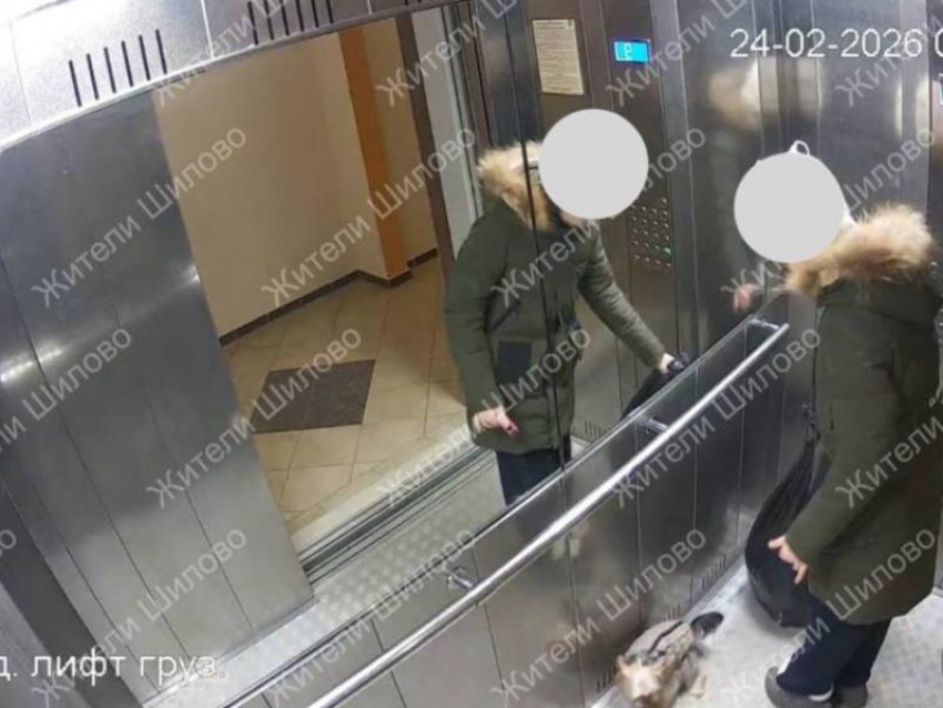 Пушистый засранец привел в гнев жителя воронежского Шилово