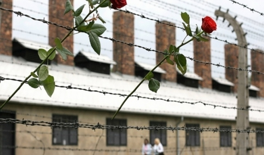 Бывшие узницы концлагеря Аушвиц прибудут на выставку в Воронеж