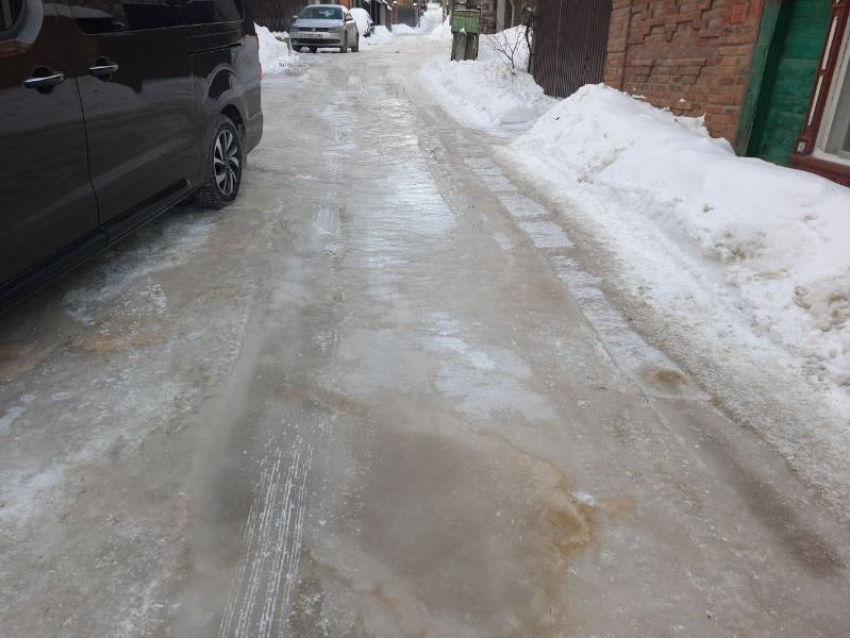 Фекальный каток подарил воронежцам февраль 