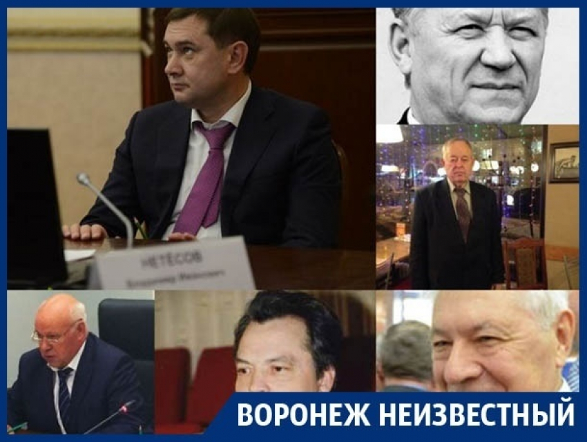 Кто за 25 лет рулил Воронежской областной Думой