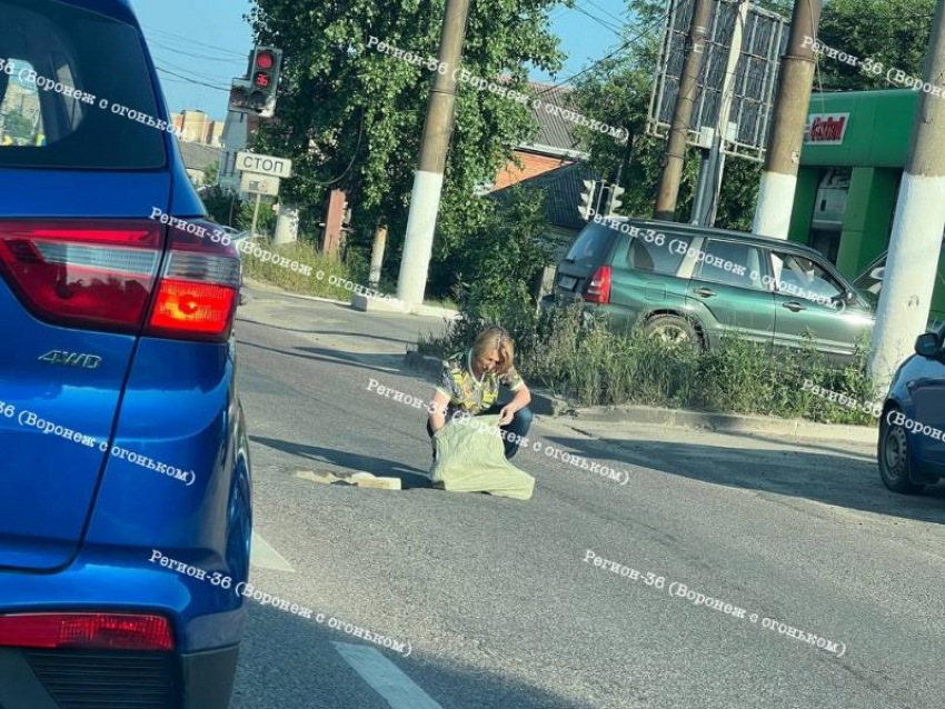 Необычный поступок женщины сняли посреди дороги в Воронеже 