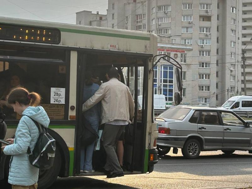 «Мужчину зажало дверями»: адские маршруточные давки поджидают воронежцев в Северном 