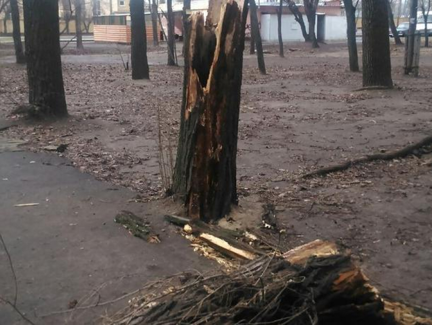 Хмурые воронежские ВАИ сравнили с Мордором