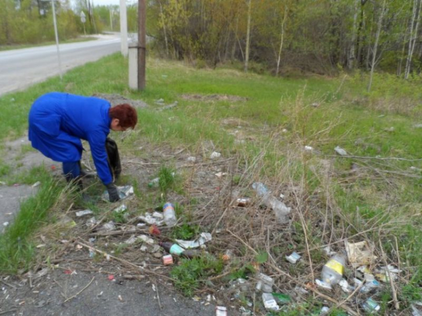 На борьбу с мусором вдоль дорог воронежский губернатор бросит спецбригаду