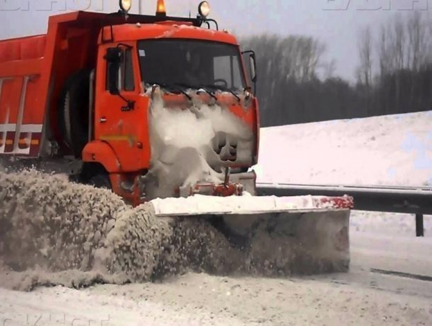 Власти Воронежа потратят 40 миллионов рублей на покупку спецтехники к зиме