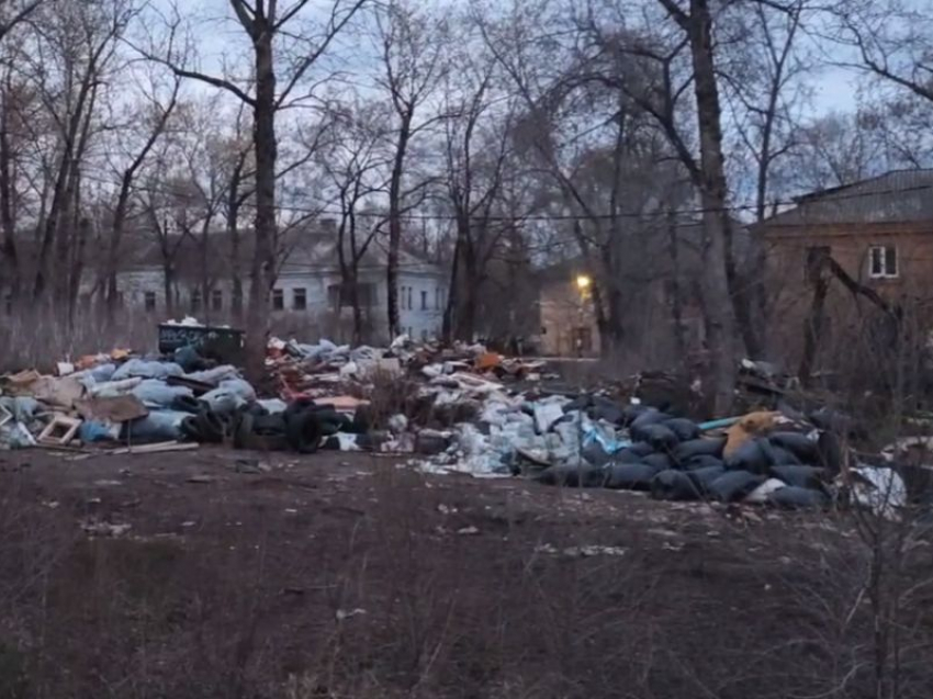 Лютую помойку у военного мемориала в Воронеже записали на видео