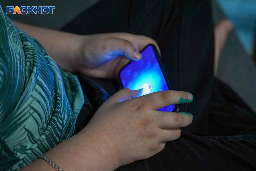 Какие сайты входят в «белый список» в России