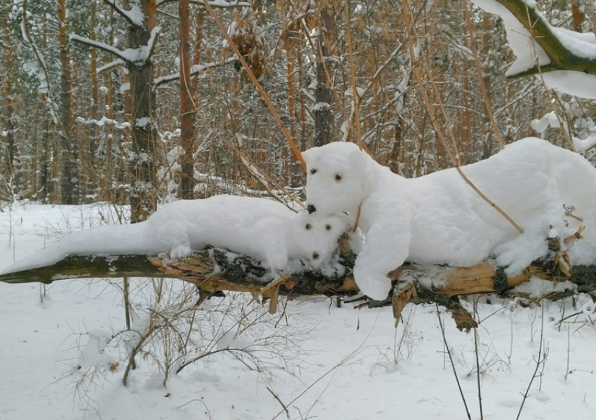 Сказочные скульптуры животных появились в воронежском лесу