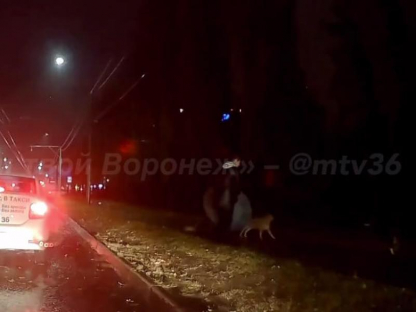Собаки напали на мужчину возле кладбища в Воронеже – опубликовано видео