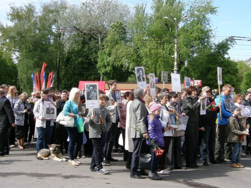 9 Мая по улицам Воронежа прошел «Бессмертный полк» (ФОТО)