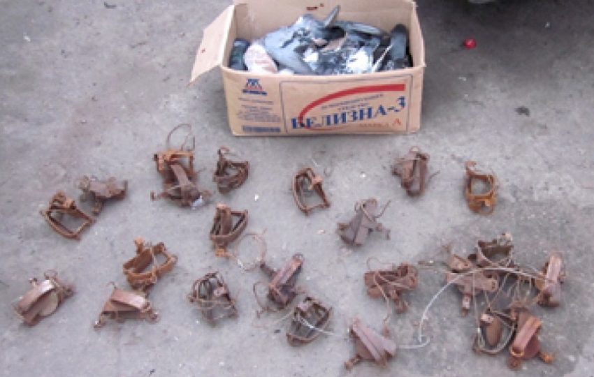 В Воронежской области тамбовчанин хотел установить 22 капкана на куницу