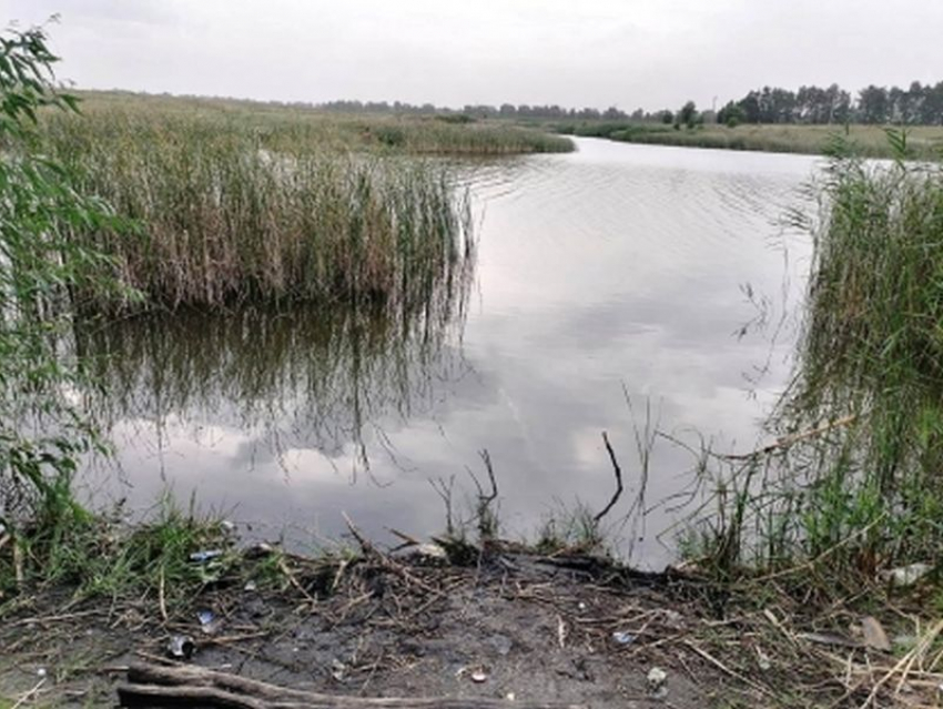Тело несовершеннолетнего парня достали из пруда в Воронежской области