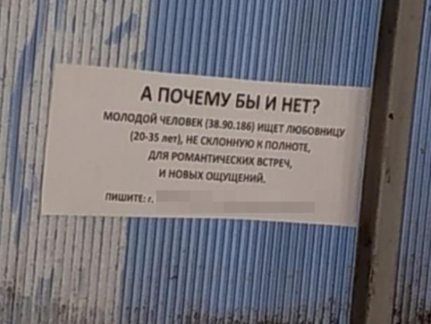Интимное объявление любовника без комплексов повесили на остановку в Воронеже 
