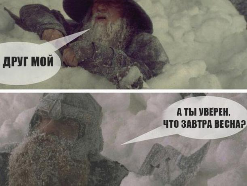 Персонажи «Властелина колец» засомневались, что в Воронеже наступит весна