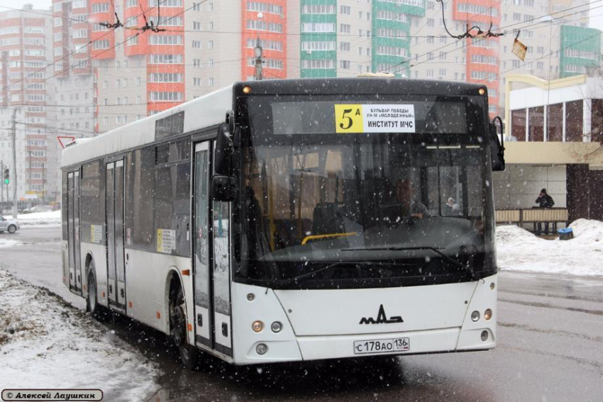 В Воронеже старые автобусы заменили на комфортабельные новые