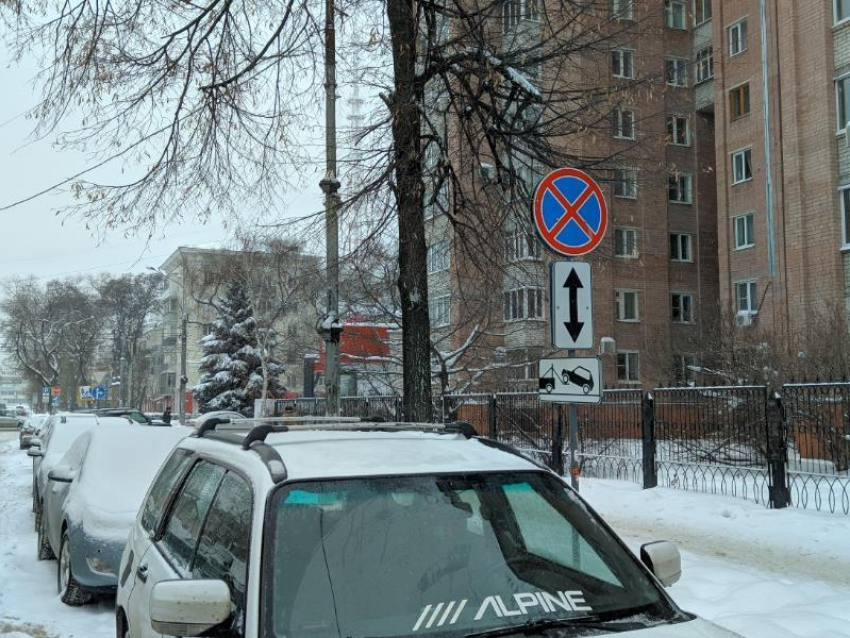 Воронежцам показали рискованный бойкот платных парковок 