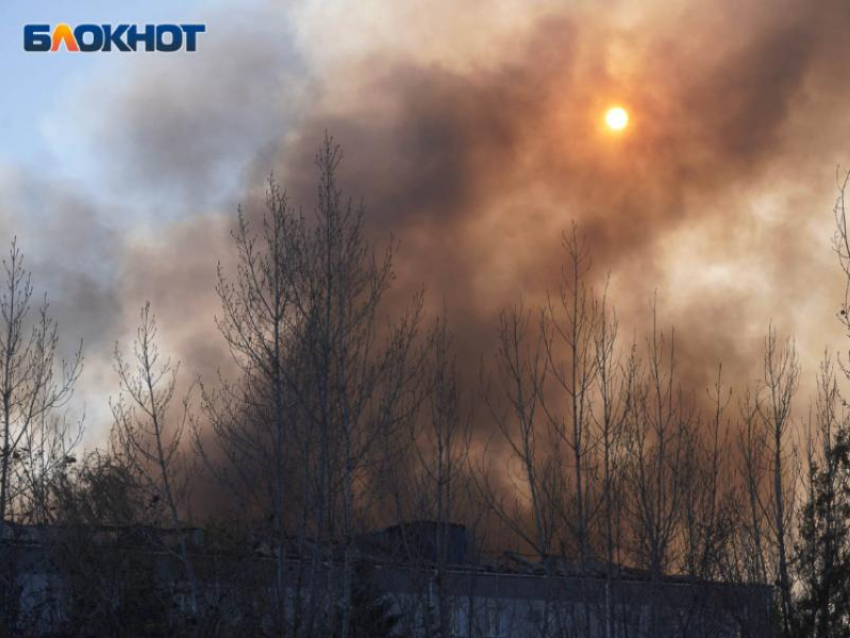Чрезвычайный класс пожарной опасности объявили в Воронежской области