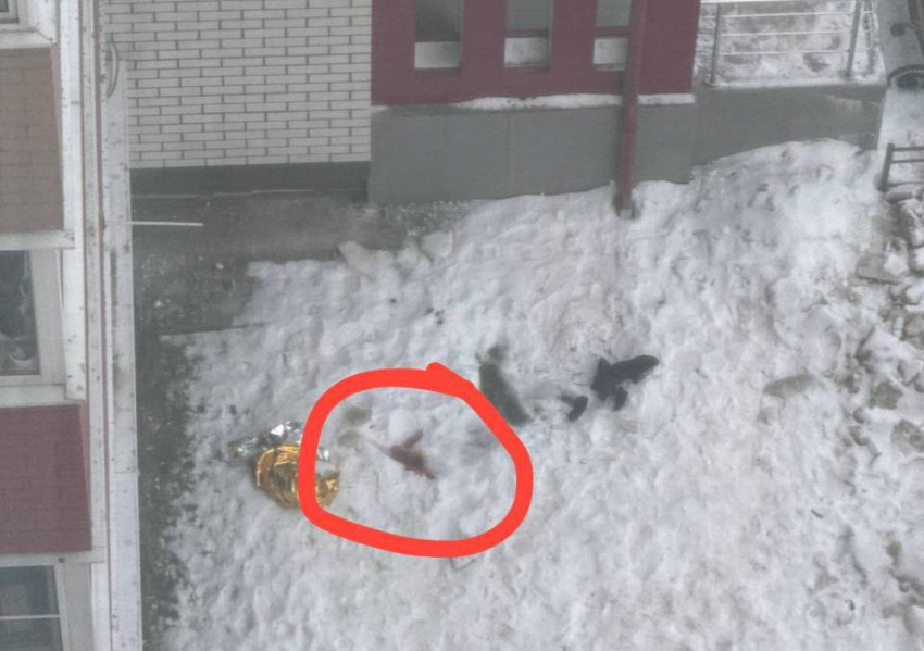 Труп 18-летнего парня обнаружили под окнами многоэтажного дома в Воронеже