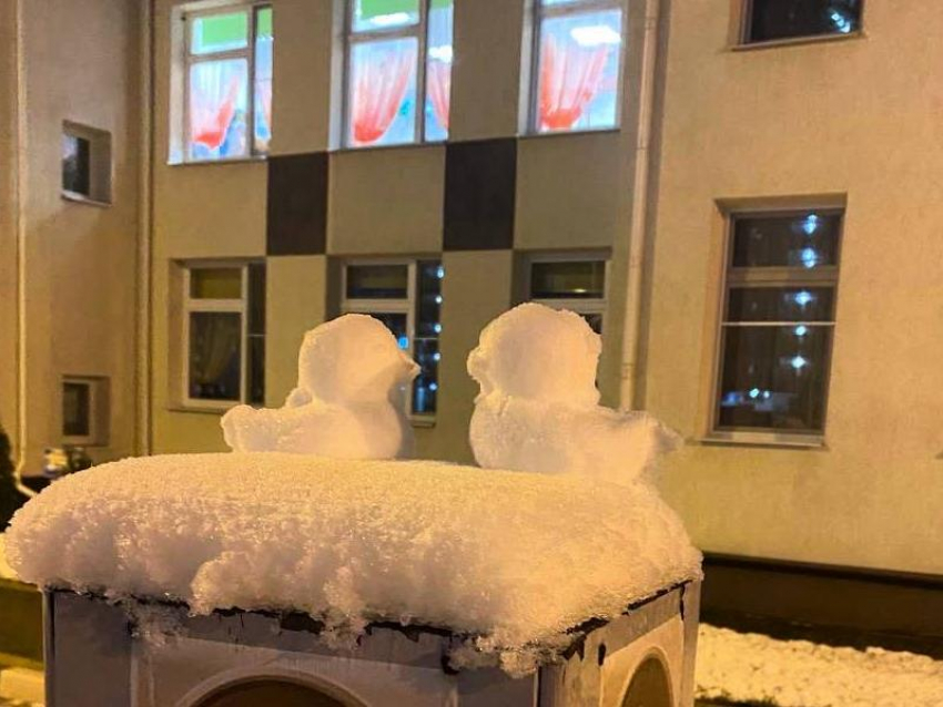 Самых милых снеговичков застали на улочке в Воронеже