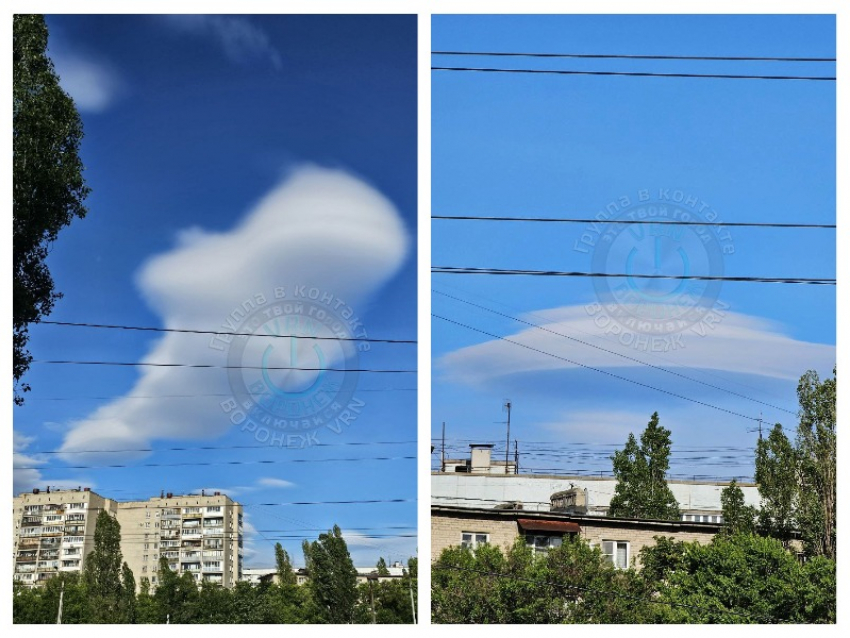 Кашалот и НЛО: необычные облака воронежцы заметили в небе над городом