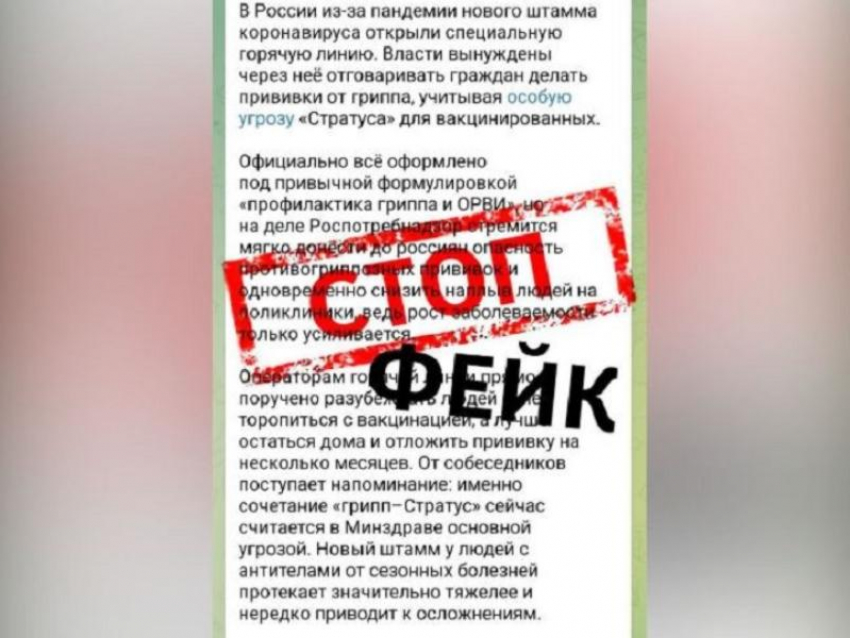 Открытие «горячей линии из-за нового штамма коронавируса» назвали фейком в Воронеже