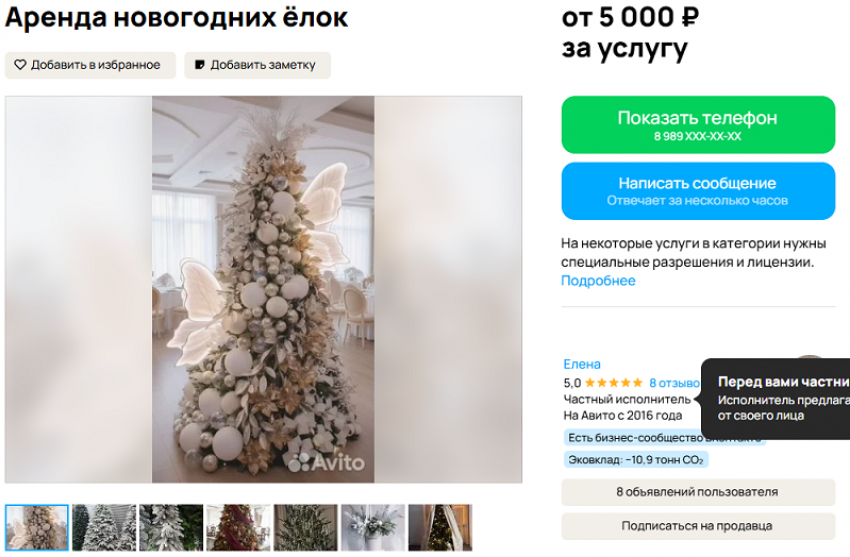 Брать новогодние ёлки в аренду предложили жителям Воронежа 