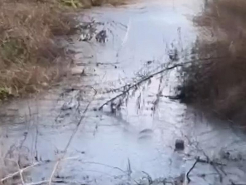 Чиновников заподозрили во вранье в Воронежской области