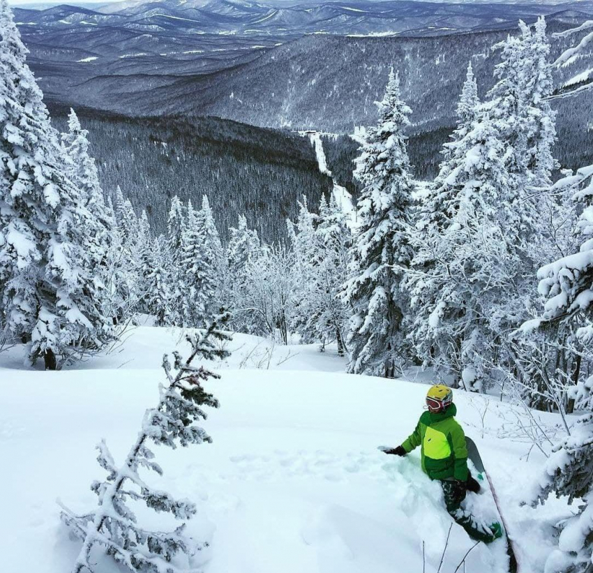Какие горные курорты выбирают для отдыха воронежцы