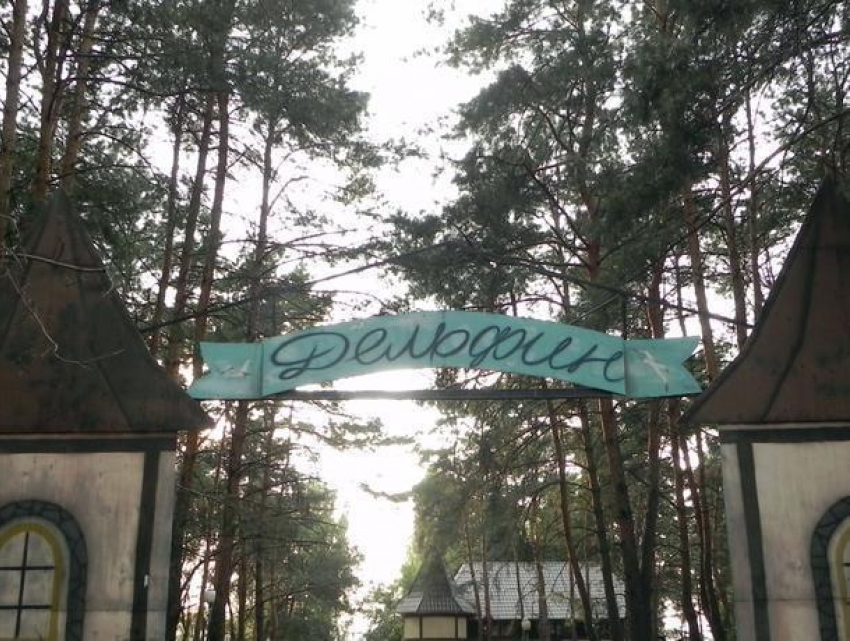 Архитекторы покажут воронежцам, как будет выглядеть парк «Дельфин» на Левом берегу