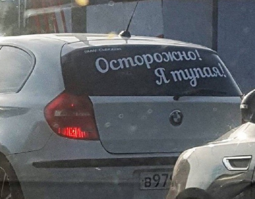 Самую честную автомобилистку нашли на дороге в Воронеже