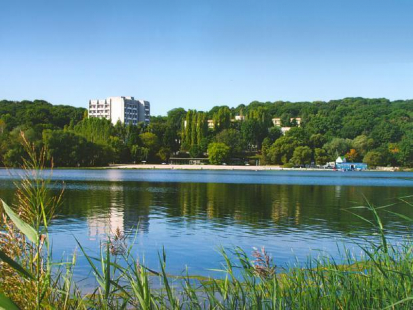 В Воронежском водохранилище нашли верхние и нижние конечности женщины 