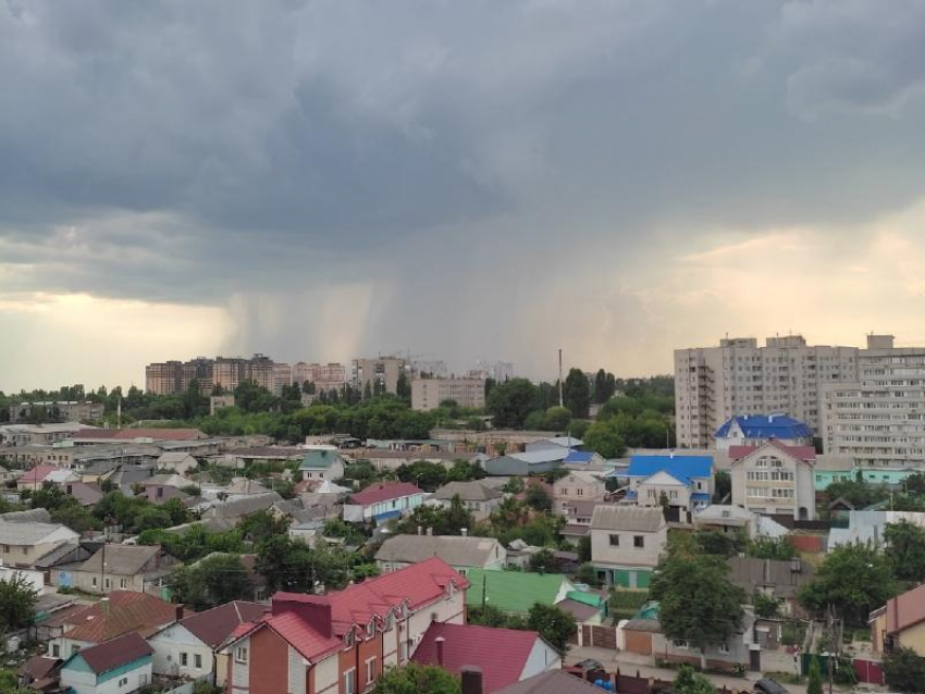 Долгожданный дождь снизошел на измученный жарой Воронеж 
