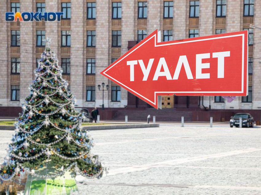 Десятки мобильных туалетов установят в центре Воронежа возле «новогодней елочки за 15 млн рублей» 