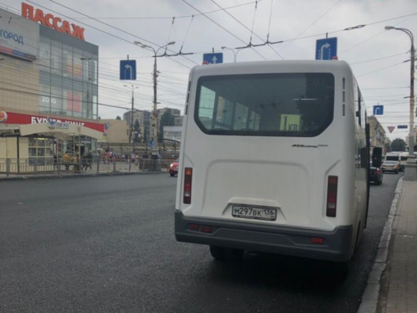 Неожиданное пожелание от водителя маршрутки пассажирке сняли в Воронеже