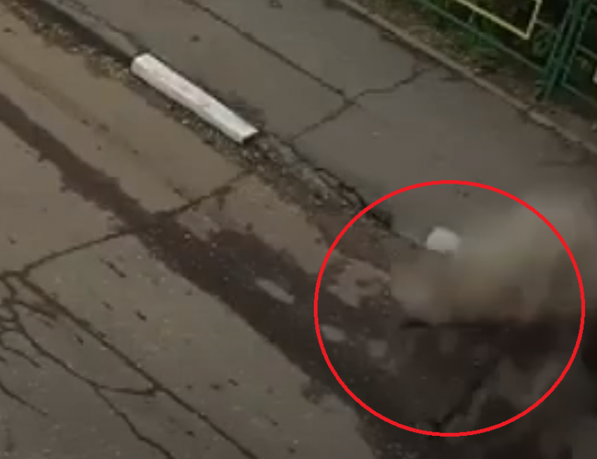 Момент взрыва асфальта из-за испытаний «Квадры» попал на видео в Воронеже