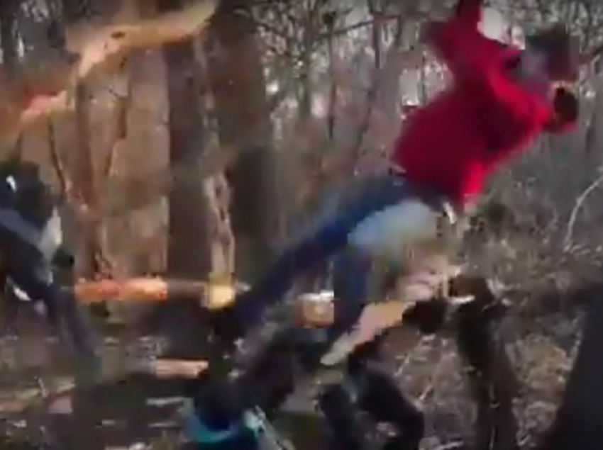 Месть дерева обидчикам сняли на видео в Воронеже 