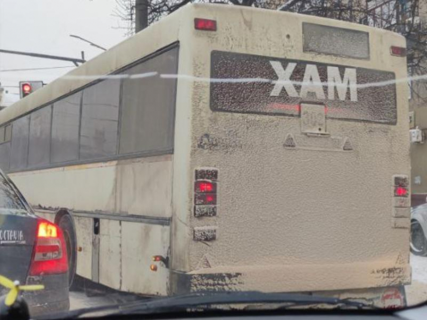 Самокритичный автобус заметили в Воронеже