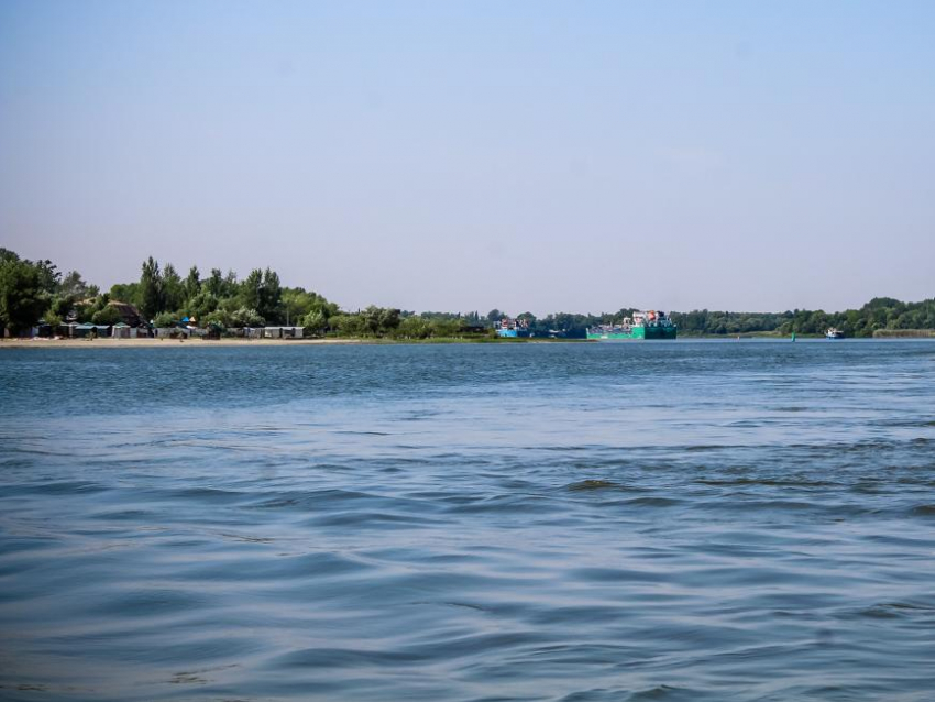 Попаданием холерного вибриона в Дон заинтересовалась воронежская прокуратура