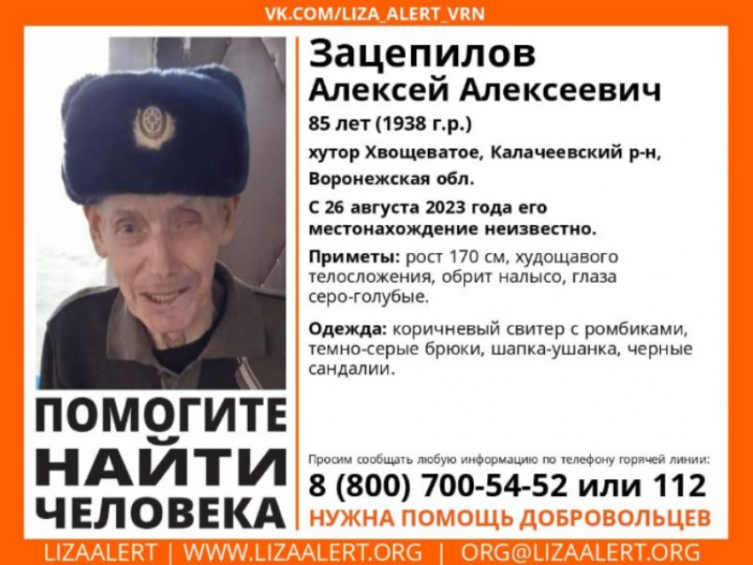 85-летний пенсионер пропал без вести в воронежском селе