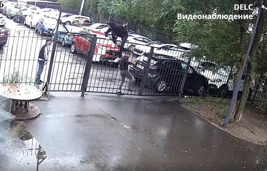 Позорный поступок «трёх богатырей» сняла камера видеонаблюдения в Воронеже