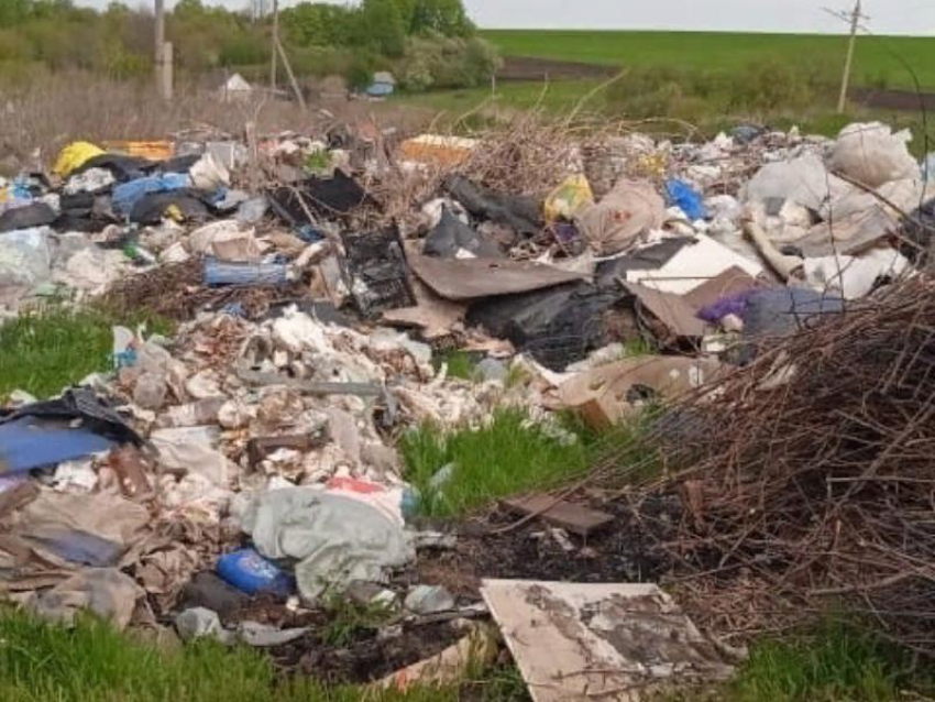 Незаконная свалка в Воронежской области принесла почве миллионные ущербы