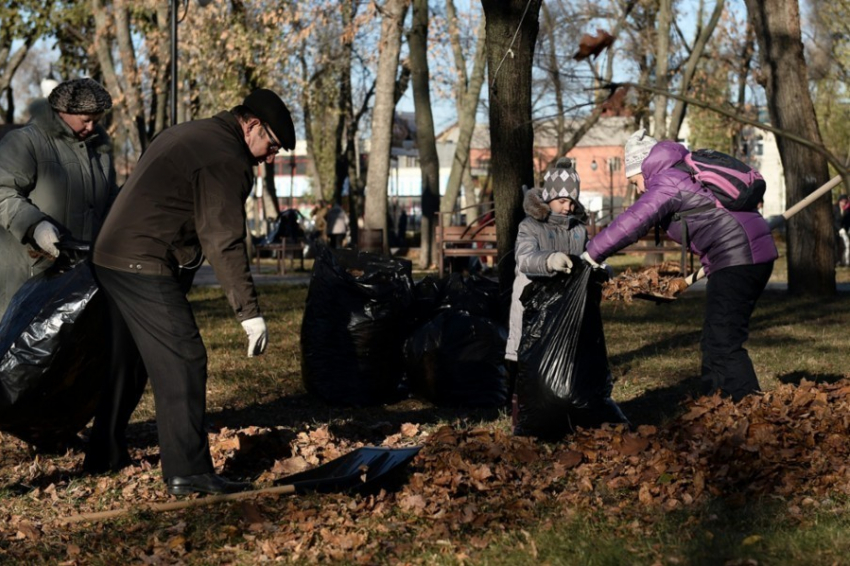 Более 30 тысяч воронежцев сделали город чище 