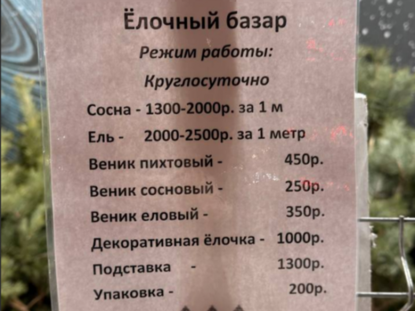 Цены на елки шокируют воронежцев 