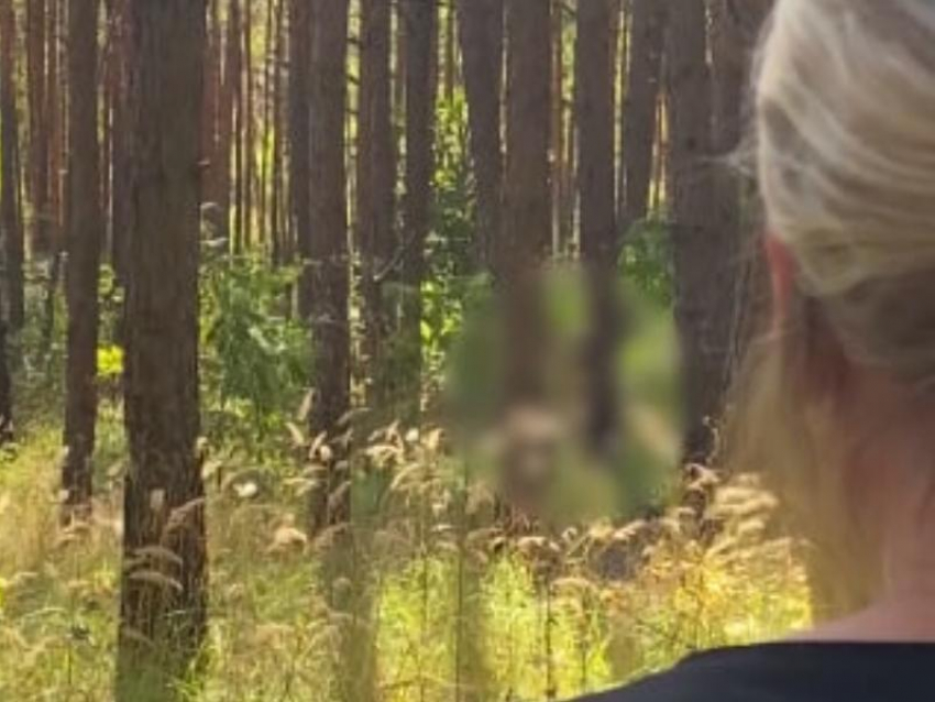 Онанист в лесу порно видео