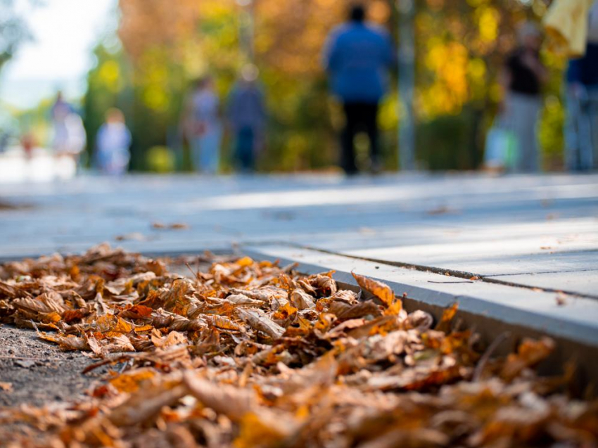 Внимание, экстренная информация