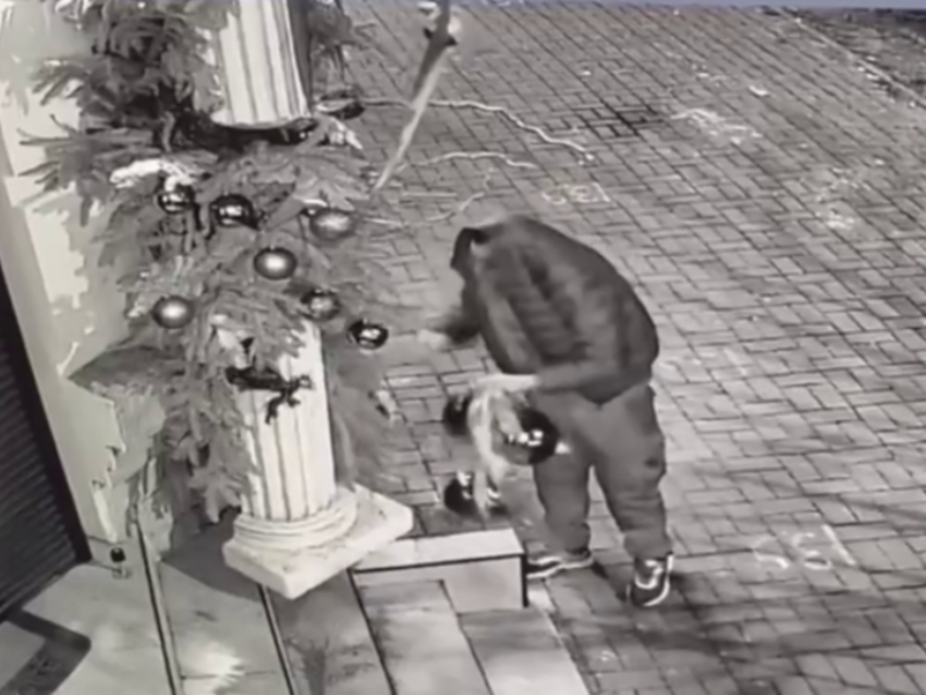 Куртка на голове и шары в руках: праздничный вандализм одолел Воронеж