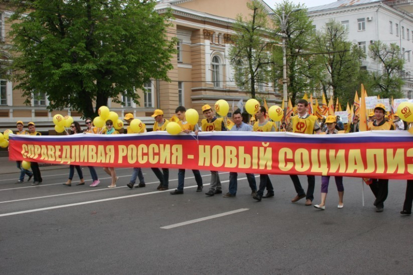 Воронежские эсеры вышли на митинг против беспредела в ЖКХ (ФОТО)